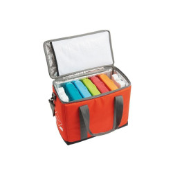 MALLETTE ISOTHERME HEMOBOX ROUGE
