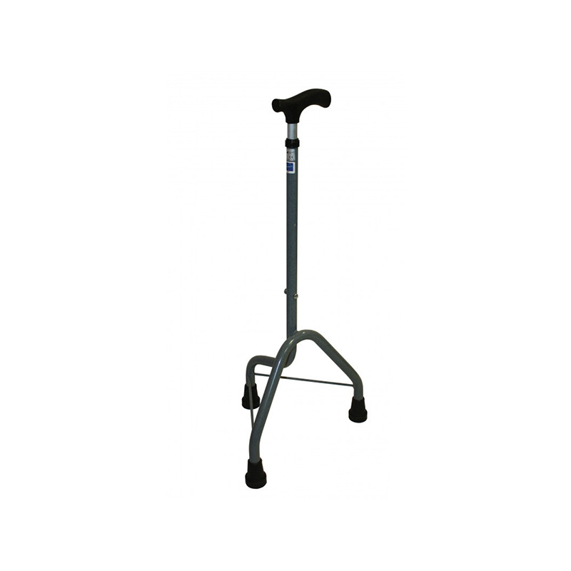 CANNE 545 BIS