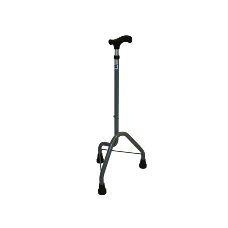 CANNE 545 BIS