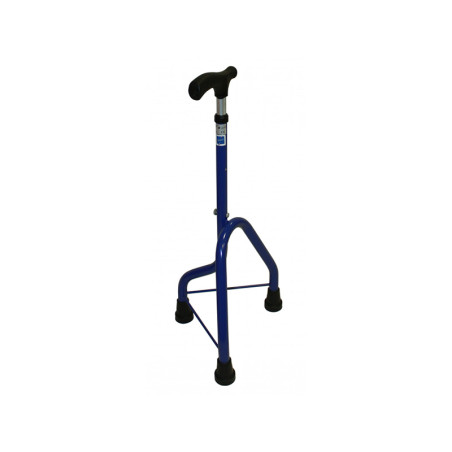 CANNE 545 BIS ENFANT