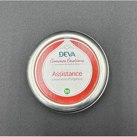 GOMMES ASSISTANCE FLEURS DE BACH DEVA