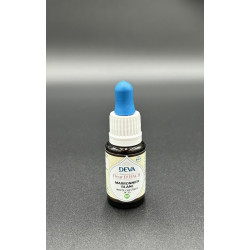 FLEURS DE BACH ELIXIR MARRONNIER BLANC 15ML
