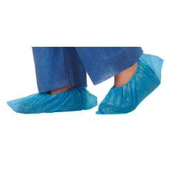 Sur chaussure